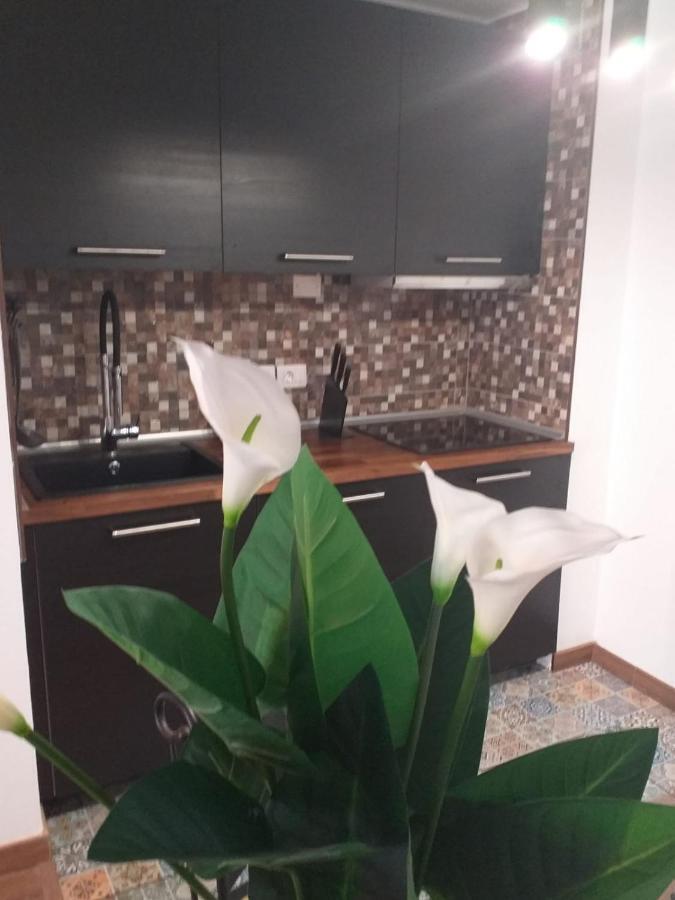 דירות קורלחו Loft 113 מראה חיצוני תמונה