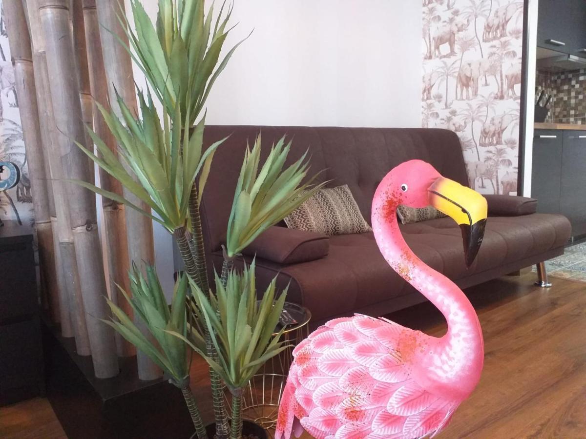 דירות קורלחו Loft 113 מראה חיצוני תמונה